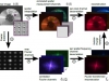 A Theory of Plenoptic Multiplexing, overview1