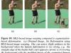 MovieReshape: Tracking and Reshaping of Humans in Videos